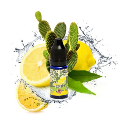 Příchuť Big Mouth RETRO Lemon and Cactus